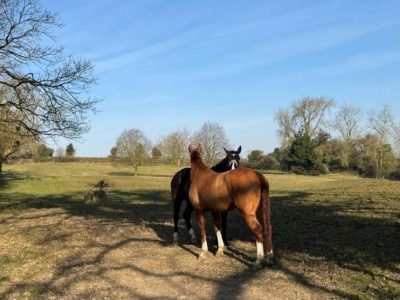New-Farm-Home-01